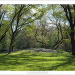 Central Park, Spring