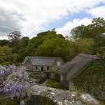 The Garden House, Buckland Monachorum, Devon