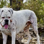 This is now my good side