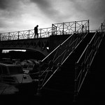 on humanity in dark times XXXI (R8320)