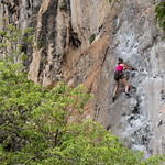 "Adventure of a Lifetime"