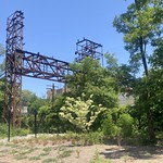 Spring in Starlight Park