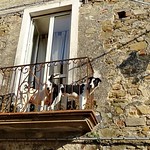 Everything under control.