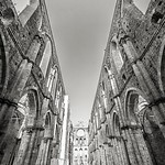Abbazia di San Galgano ( Siena )