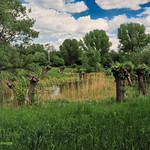 Relax in the Britzer Garden