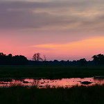 s&uuml;dschweden smaland 2022 - 012