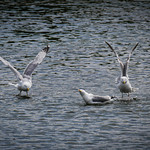 1 ...2...3.... Partez ! Explore - July 8, 2023