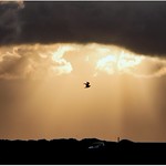 Last Flight Home, before the dark