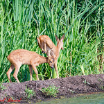 Petit jeu du matin 4/6