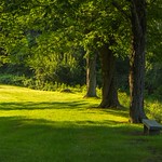 Laurel Hill Cemetery