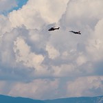 2014 - Angle of Attack, Super Puma and F-18,🇨🇭 Luftwaffe