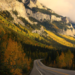 The sun came out to play