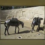 1 London 22-09-2023 (81)A