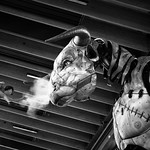 La Belle et la B&ecirc;te / The Beauty and the Beast