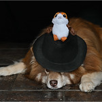 tribute to bruno - the porg hat 45/52