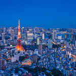 The Tokyo Tower ｜東京タワー