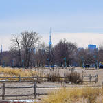 Happy Fence Friday from Woodbine Beach