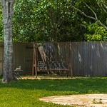 Back Yard Bench - HBM