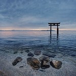 Dawn's Quiet Moments