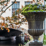 Small Things Z62_5086