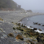 fog along the coast of Maine