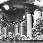 Calling for Infrared Film