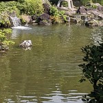 Naritasan Park 成田山公園, Naritasan Shinshoji Temple 成田山新勝寺, Narita 成田市, Japan