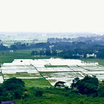 Agricultural fields !