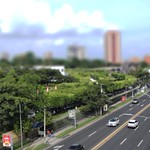 Tilt Shift