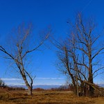 Munich - Fr&ouml;ttmaninger Heide