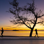 Strangers In The Night