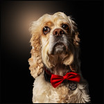 Mo Portrait Practice...