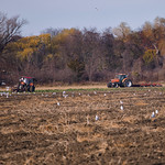 Country Farming