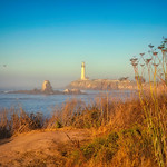 Lighthouse, coastal California, USA (Happy New Year)