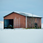 life in a snow globe