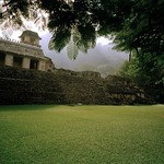 Palenque, 2 months ago Palenque, 2 months ago