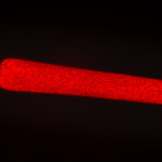 Filamentous algae. UVIVF - Epifluorescence