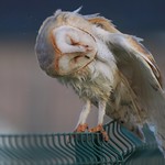 R&eacute;v&eacute;rence