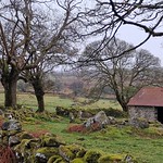 The Old Barn, Emsworthy Mire.
