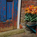 Memory stained in blue and red