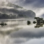 Foggy moving morning