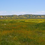 "Save Some Time To Dream"