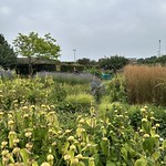 Charterhouse, Coventry