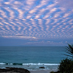 Mackerel Sky