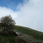 When the sense of loneliness comes together in an embrace