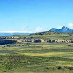 Spring Green Panorama