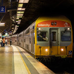 Martin Place Screamer