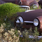 Weedy Studebaker, Young County, Texas