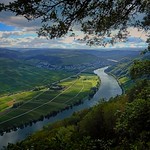 _Mosel _Mosel