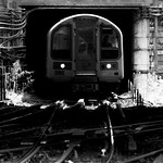 out of the tunnel - white city